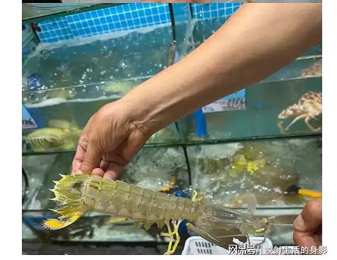 4只皮皮虾事件后续：出租车司机被开除，顾客坚持认为司机收了钱（组图） - 1