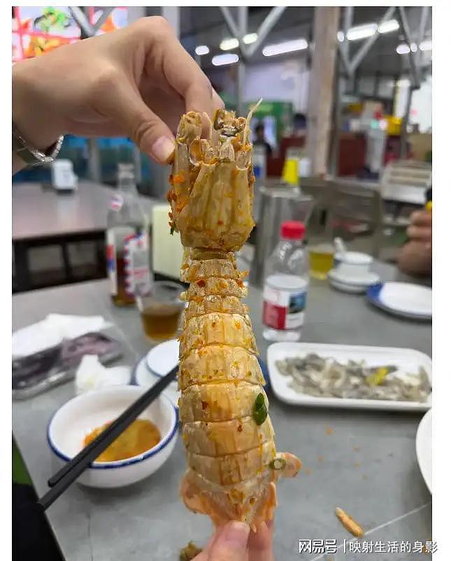 4只皮皮虾事件后续：出租车司机被开除，顾客坚持认为司机收了钱（组图） - 3
