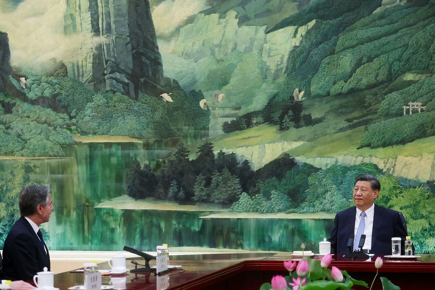 中美元首会见桌中央摆放杜鹃,植物摆设暗藏讯息?(组图) - 4