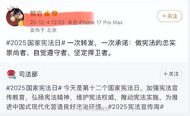 420天无踪迹！柳岩消失时间线，藏着娱乐圈残酷真相（组图） - 3
