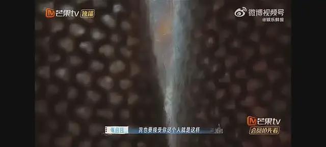 孙杨和张豆豆,可能是婚姻里走得最远的一对(组图) - 3
