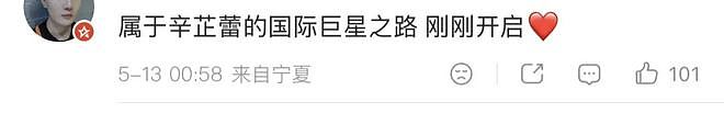 辛芷蕾的好莱坞梦,刚起飞就“悬了”?(组图) - 4