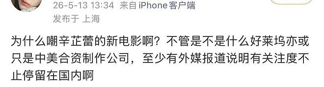 辛芷蕾的好莱坞梦,刚起飞就“悬了”?(组图) - 34