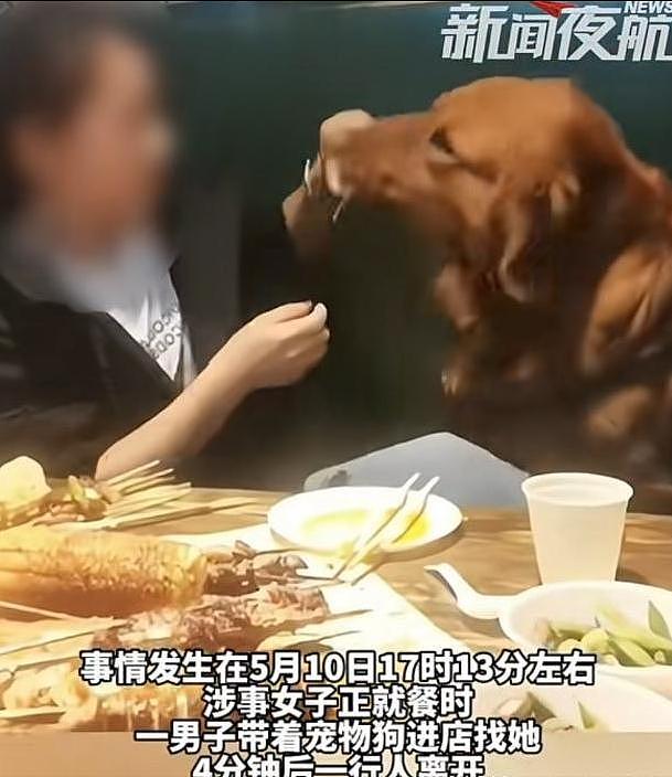 大连女子带狗撸串事件再升级!正脸全曝光竟是惯犯,店铺惨遭停业 - 3