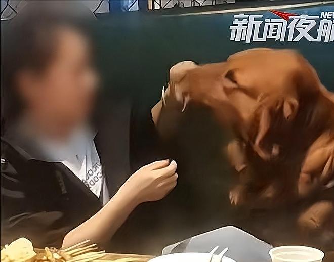 大连女子带狗撸串事件再升级!正脸全曝光竟是惯犯,店铺惨遭停业 - 4