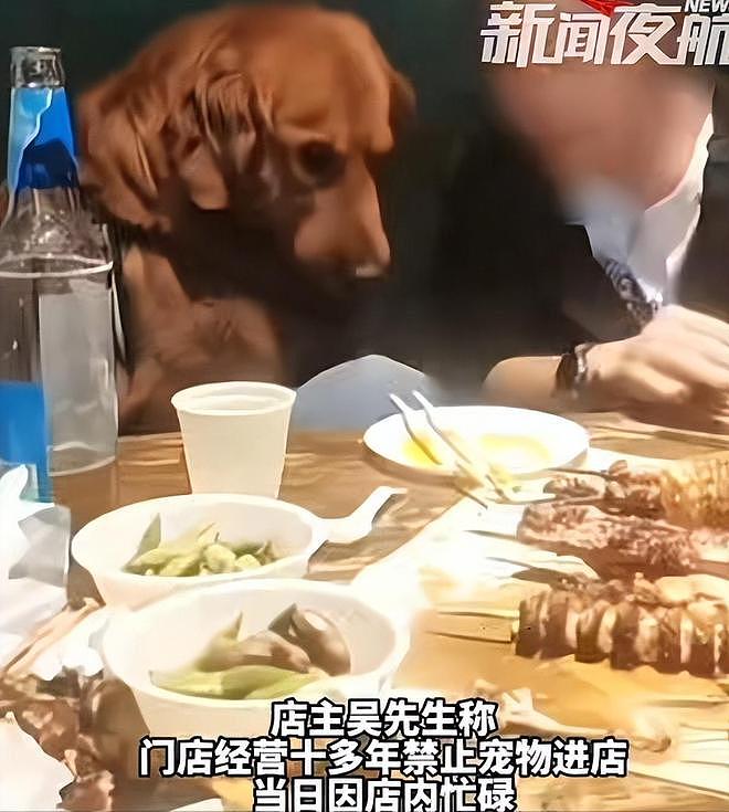 大连女子带狗撸串事件再升级!正脸全曝光竟是惯犯,店铺惨遭停业 - 5