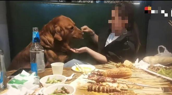 大连女子带狗撸串事件再升级!正脸全曝光竟是惯犯,店铺惨遭停业 - 6