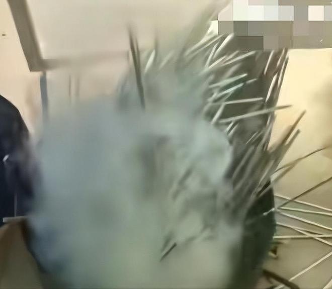 大连女子带狗撸串事件再升级!正脸全曝光竟是惯犯,店铺惨遭停业 - 14