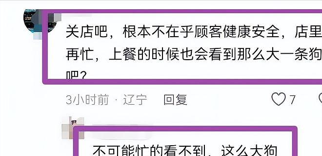 大连女子带狗撸串事件再升级!正脸全曝光竟是惯犯,店铺惨遭停业 - 15
