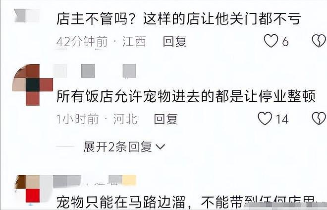 大连女子带狗撸串事件再升级!正脸全曝光竟是惯犯,店铺惨遭停业 - 16