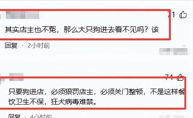 大连女子带狗撸串事件再升级!正脸全曝光竟是惯犯,店铺惨遭停业 - 17