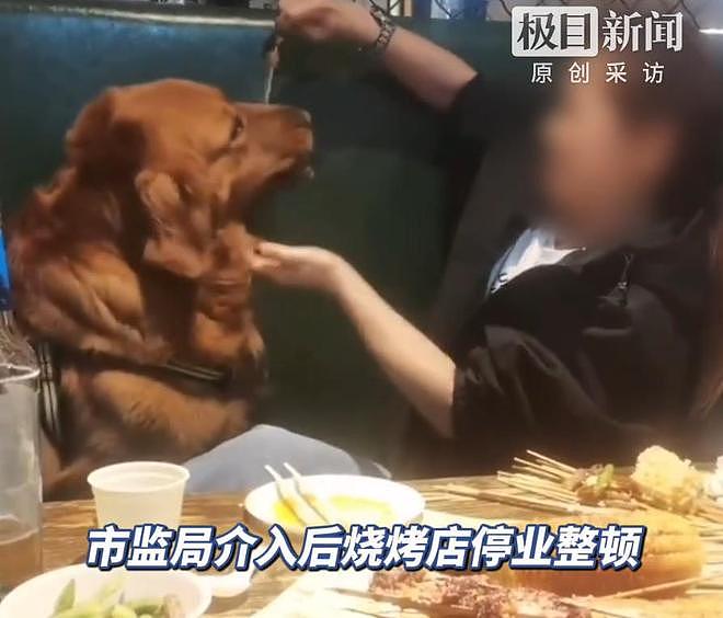 大连女子带狗撸串事件再升级!正脸全曝光竟是惯犯,店铺惨遭停业 - 21