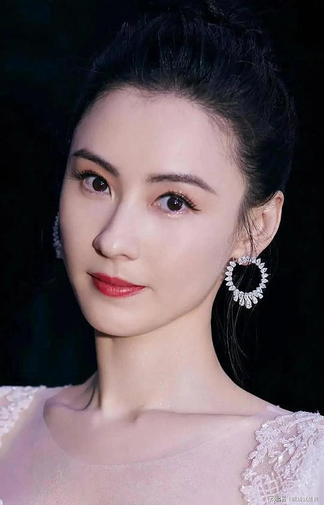 张柏芝案终判,三胎生父曝光,好消息传来,遗嘱早已立好(组图) - 19
