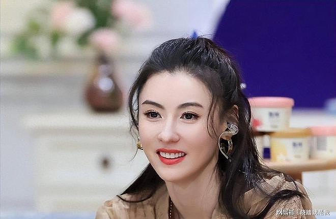 张柏芝案终判,三胎生父曝光,好消息传来,遗嘱早已立好(组图) - 22