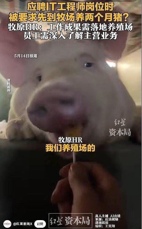 河南企业要求程序员入职先养两个月猪,HR:熟悉业务环境(图) - 1