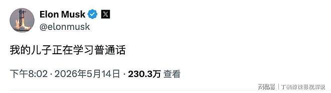 马斯克带儿子亮相人民大会堂，抢镜的虎头包，疑似马斯克妈妈挑选（组图） - 9