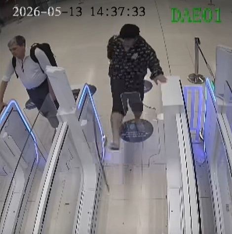 暴踢闸门辱骂关员，中国男子大闹曼谷机场遭索偿兼终身禁入境（组图） - 6