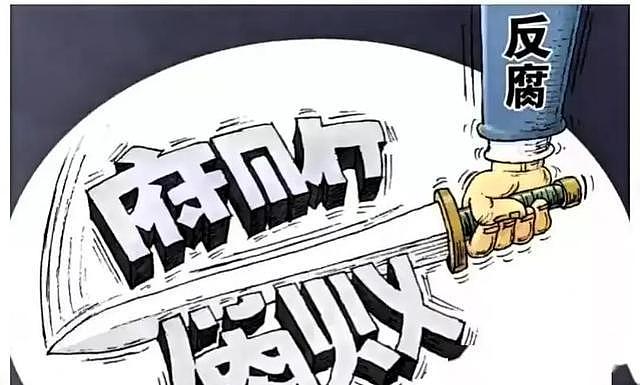 太讽刺了，抓了一辈子“保护伞”，原来自己就是那把最大的伞（组图） - 2