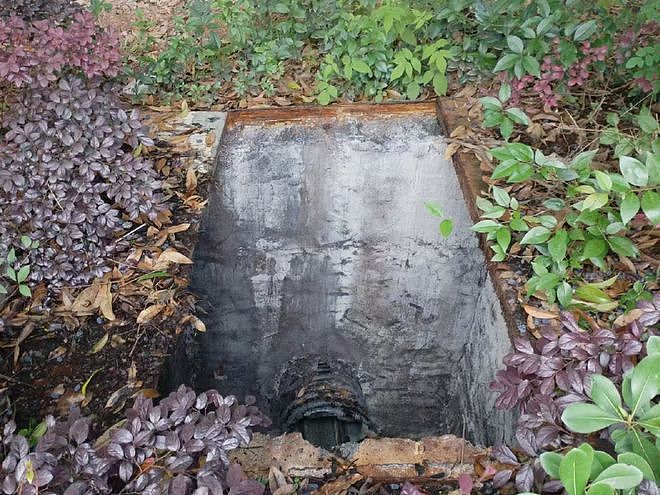 保洁员不慎坠入5米污水池,消防员到场发现:池里竟还有一个人?(组图) - 1