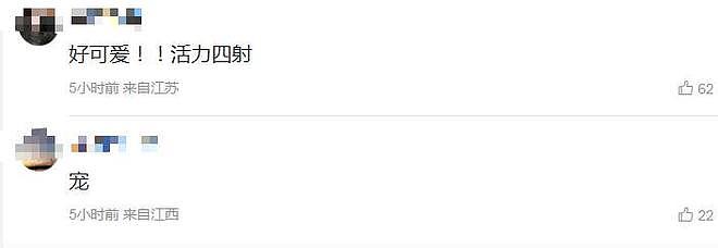 马斯克14个孩子,最小2岁,为啥偏爱6岁的X?(组图) - 3