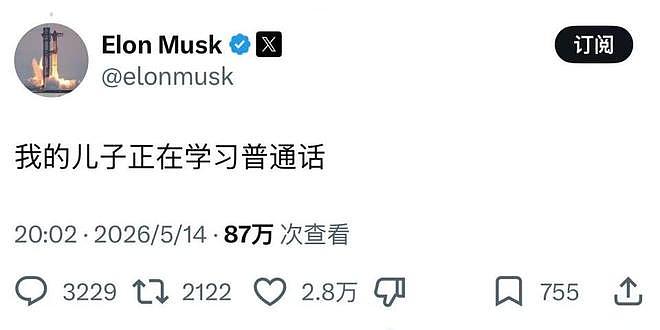 马斯克14个孩子,最小2岁,为啥偏爱6岁的X?(组图) - 20