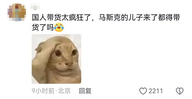 马斯克儿子带火虎头包，品牌方急了！网友：全球首富来了也得带货？ - 10