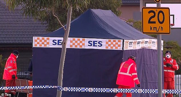 澳洲前黑帮老大之子凌晨被7人掳走！惨遭杀害，弃尸游乐场 - 4