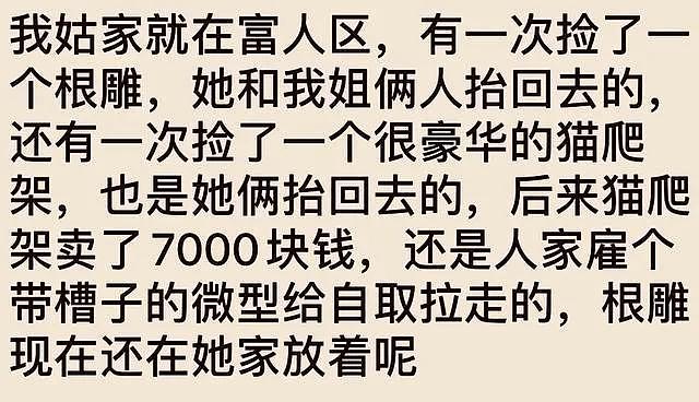 在富人区捡破烂简直太快乐了！网友：刚开始想捡漏，后来就当成主业了 - 4