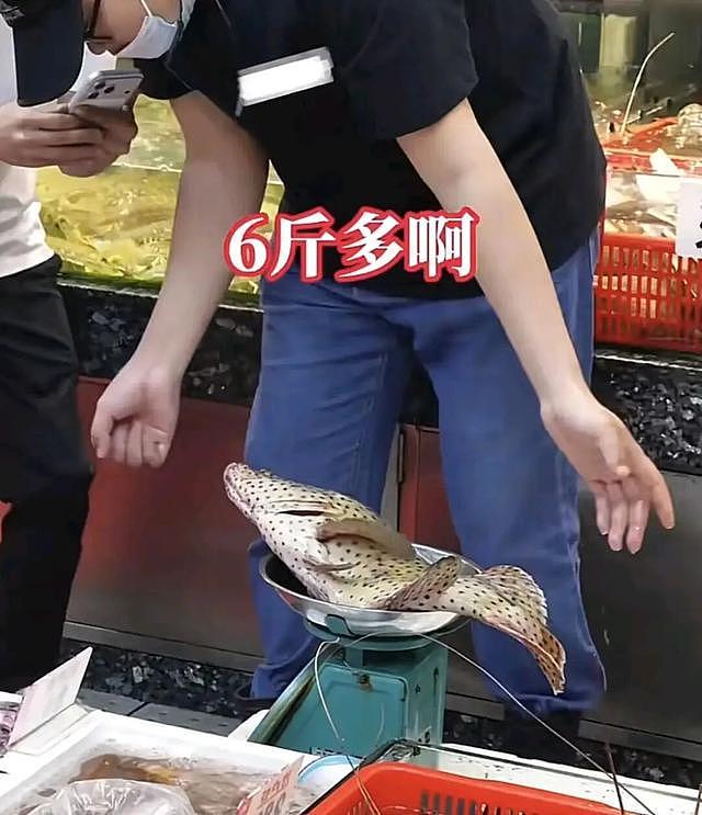 花1万3吃汕头海鲜只说“性价比高”,刘雨鑫一句话,戳穿多少人的消费偏见? - 3