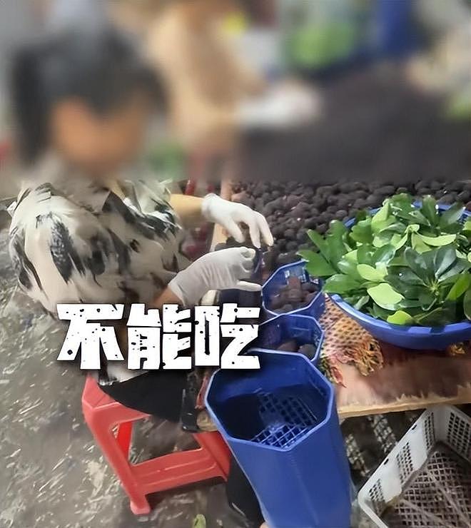 毒杨梅遭曝光!商户主动投毒,流窜至中国多地,背后利益链曝光(组图) - 1