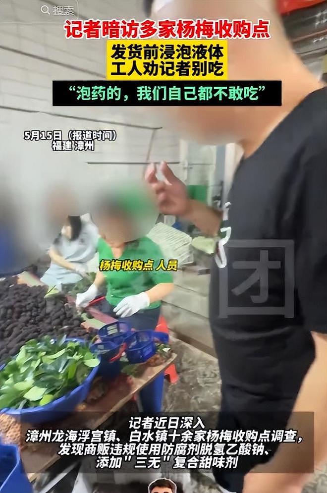 毒杨梅遭曝光!商户主动投毒,流窜至中国多地,背后利益链曝光(组图) - 11