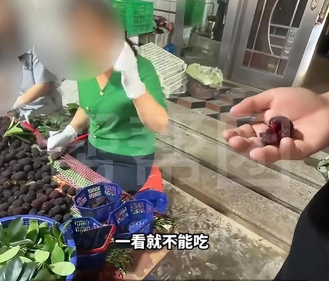 毒杨梅遭曝光!商户主动投毒,流窜至中国多地,背后利益链曝光(组图) - 12