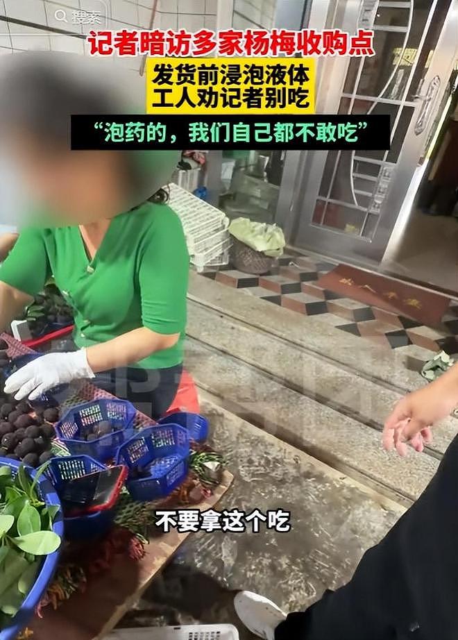 毒杨梅遭曝光!商户主动投毒,流窜至中国多地,背后利益链曝光(组图) - 13