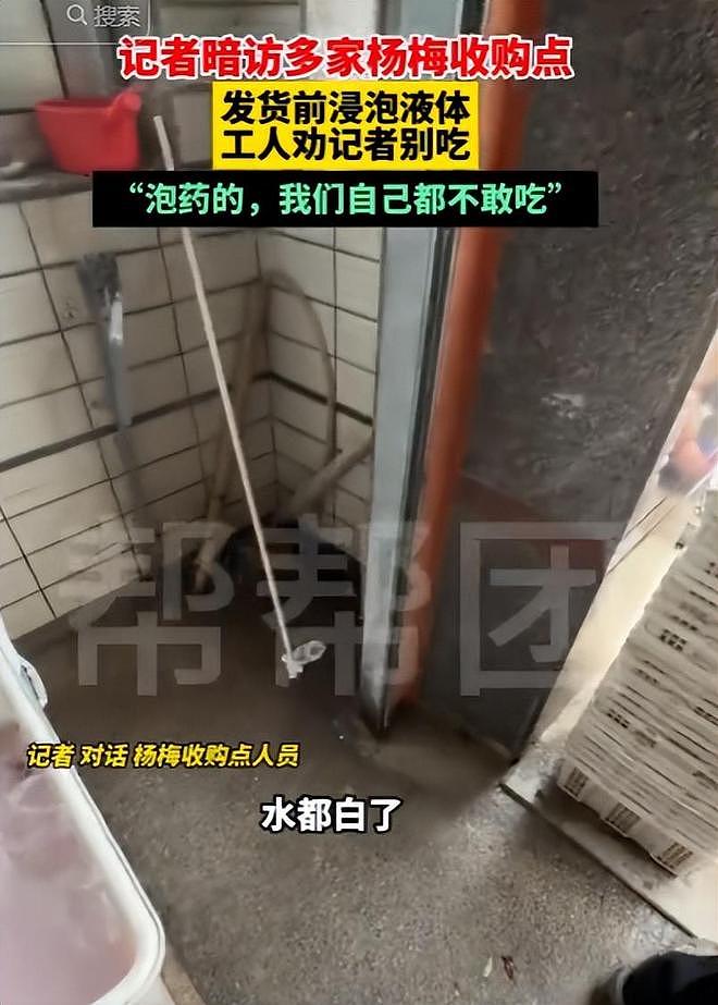 毒杨梅遭曝光!商户主动投毒,流窜至中国多地,背后利益链曝光(组图) - 15