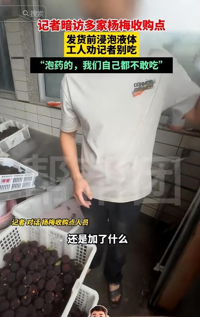 毒杨梅遭曝光!商户主动投毒,流窜至中国多地,背后利益链曝光(组图) - 16