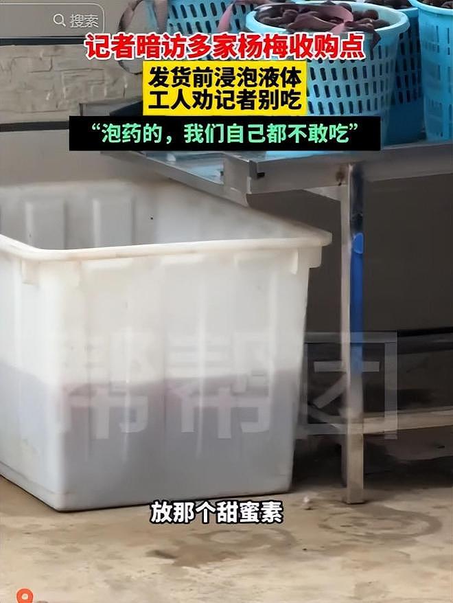 毒杨梅遭曝光!商户主动投毒,流窜至中国多地,背后利益链曝光(组图) - 17
