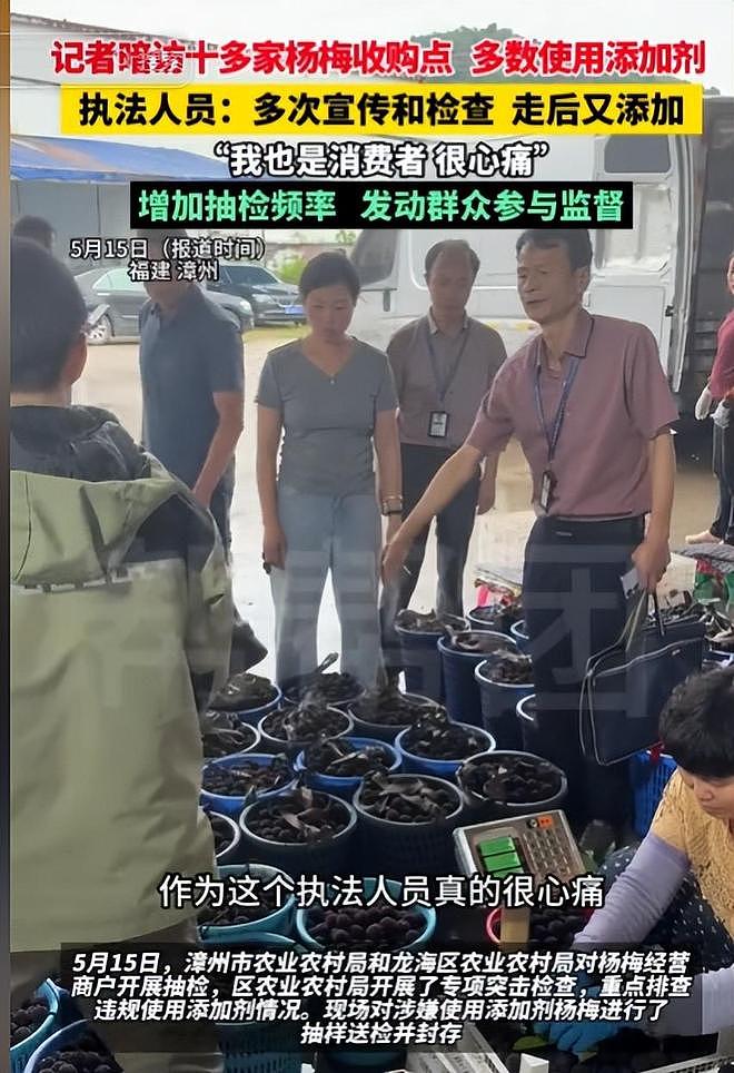 毒杨梅遭曝光!商户主动投毒,流窜至中国多地,背后利益链曝光(组图) - 19