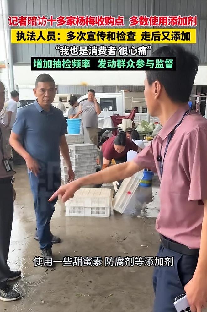 毒杨梅遭曝光!商户主动投毒,流窜至中国多地,背后利益链曝光(组图) - 21
