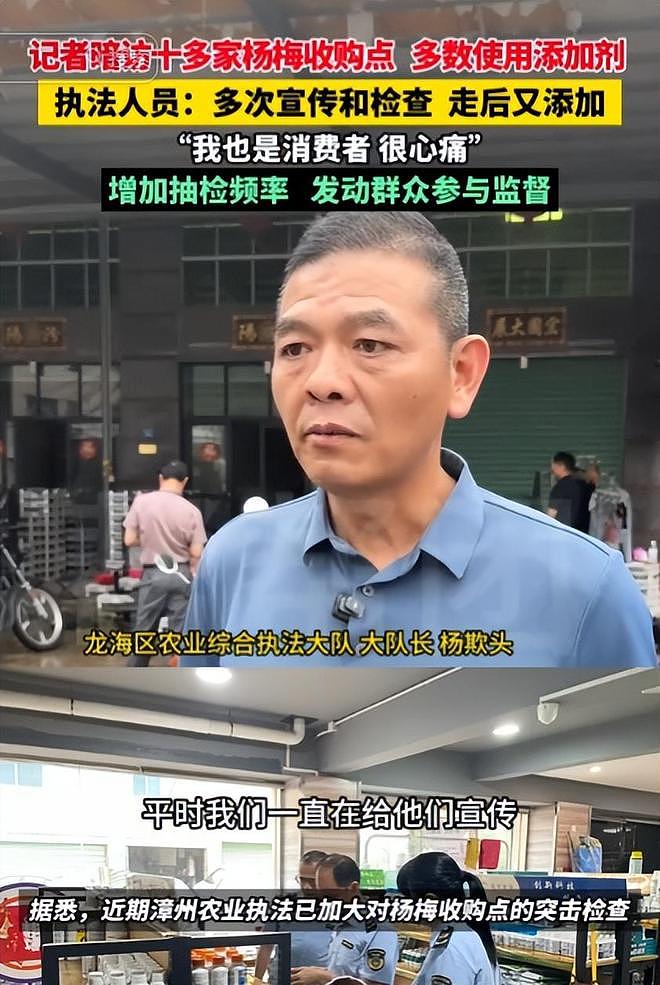 毒杨梅遭曝光!商户主动投毒,流窜至中国多地,背后利益链曝光(组图) - 22