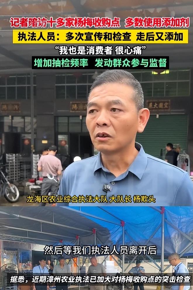 毒杨梅遭曝光!商户主动投毒,流窜至中国多地,背后利益链曝光(组图) - 23