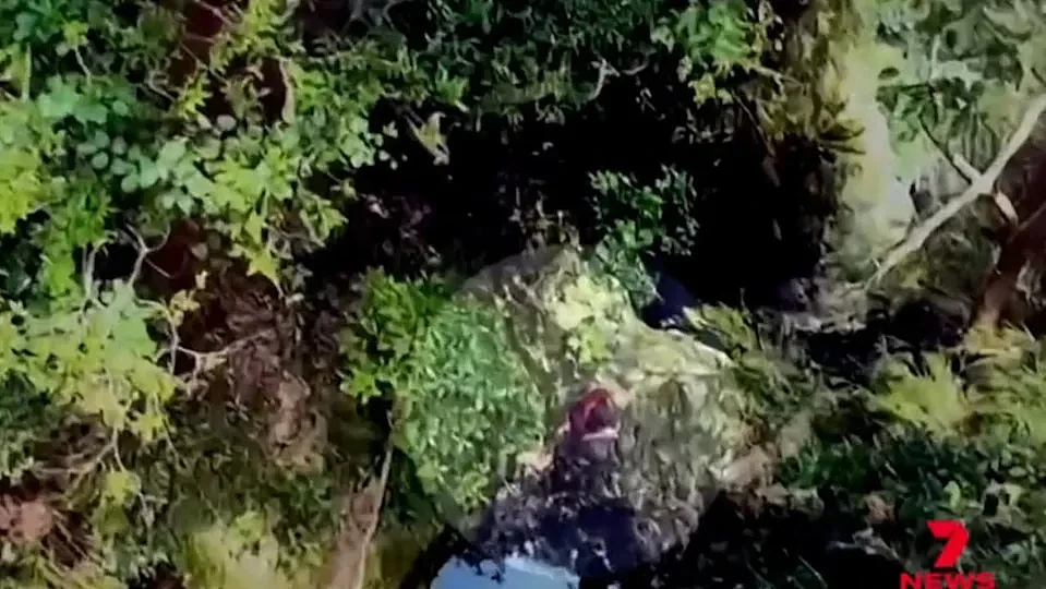 与妻子吵架后进山,澳男在台湾被困荒野一周!获救竟是靠着…(组图) - 2