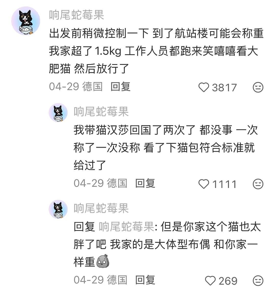 【宠物】为了让胖猫上飞机，主人听说可以租瘦猫替它过安检？这波操作直接给网友看懵了！（组图） - 3