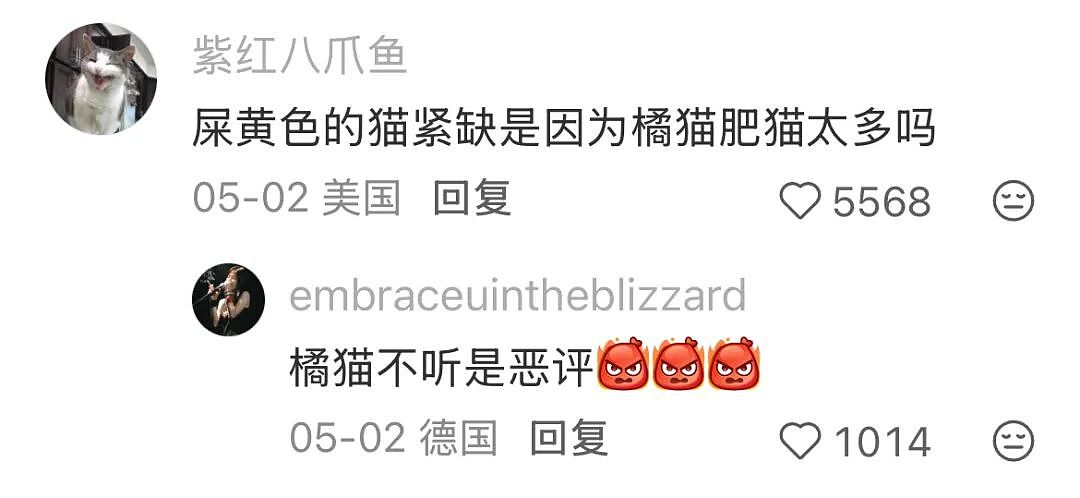【宠物】为了让胖猫上飞机，主人听说可以租瘦猫替它过安检？这波操作直接给网友看懵了！（组图） - 5