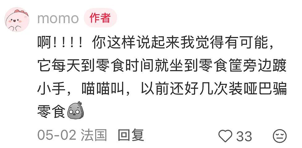 【宠物】为了让胖猫上飞机，主人听说可以租瘦猫替它过安检？这波操作直接给网友看懵了！（组图） - 15