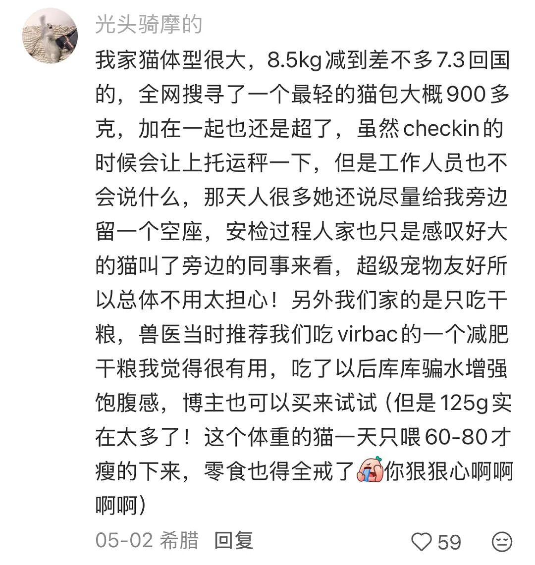 【宠物】为了让胖猫上飞机，主人听说可以租瘦猫替它过安检？这波操作直接给网友看懵了！（组图） - 14