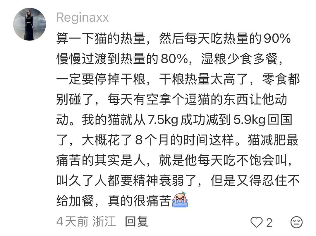 【宠物】为了让胖猫上飞机，主人听说可以租瘦猫替它过安检？这波操作直接给网友看懵了！（组图） - 17