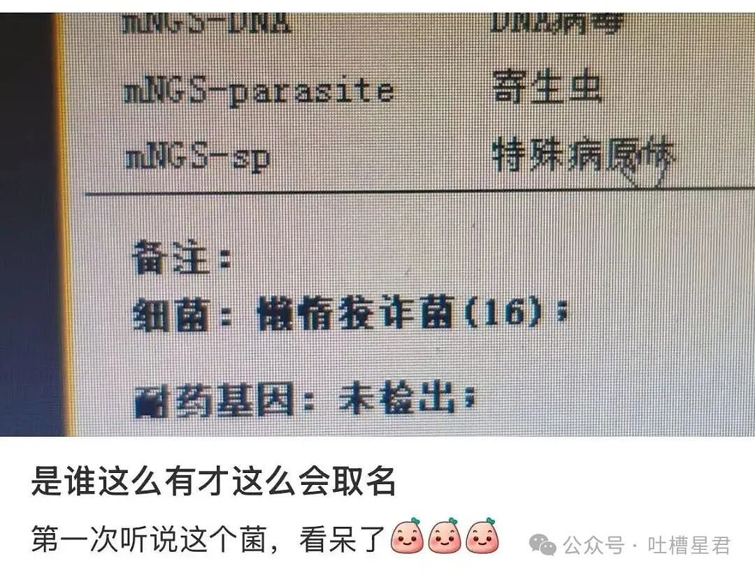 【爆笑】“上班吃到惊天大瓜是什么体验…？”啊啊啊这将是打工人的精神支柱！（组图） - 45