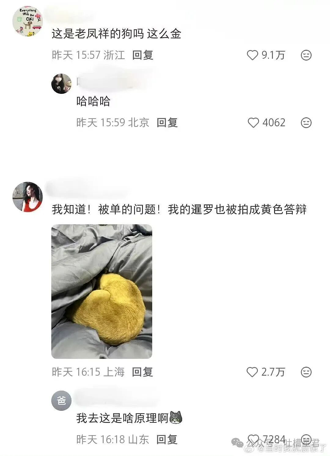 【爆笑】“上班吃到惊天大瓜是什么体验…？”啊啊啊这将是打工人的精神支柱！（组图） - 64