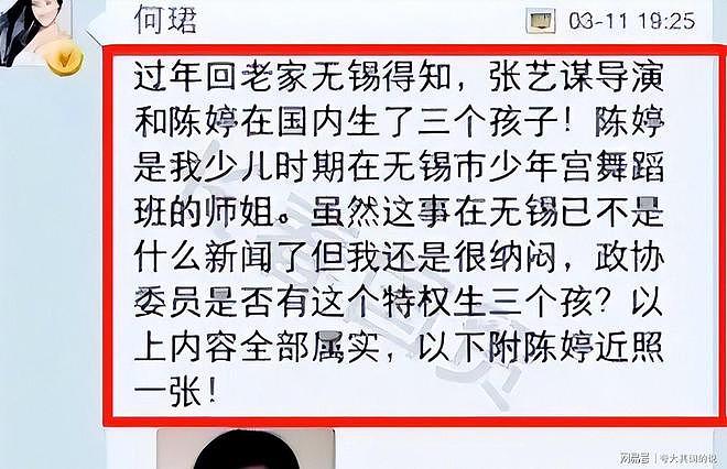 张艺谋健康恶化仅四月,陈婷结束27年婚姻关系 - 6