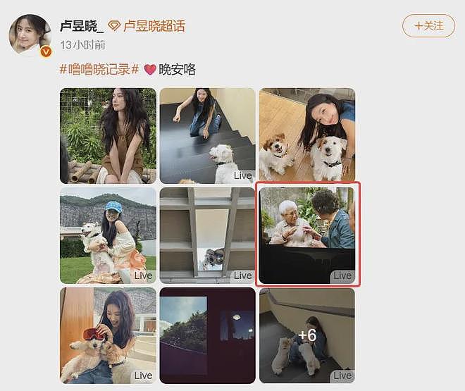 女演员道歉,爆上热搜第一 - 1